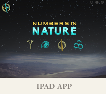 Numbers in Nature iPad App